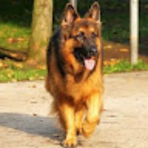 Meet your Posher, Jack